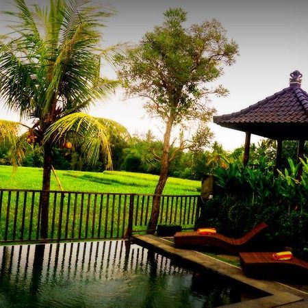 Villa D'Bisma Ubud Esterno foto
