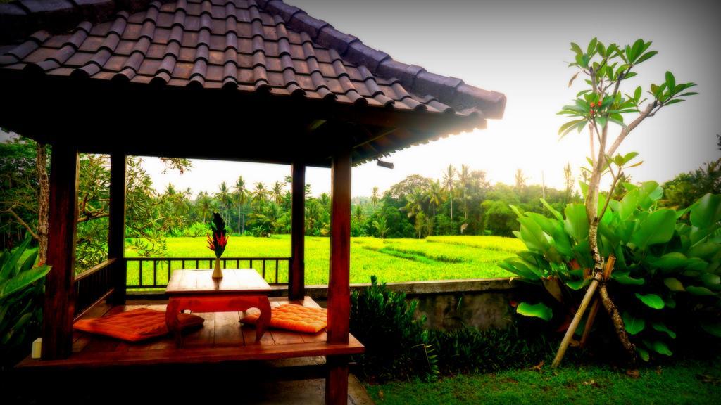 Villa D'Bisma Ubud Esterno foto