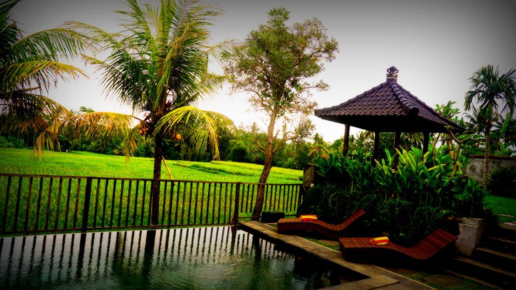 Villa D'Bisma Ubud Esterno foto